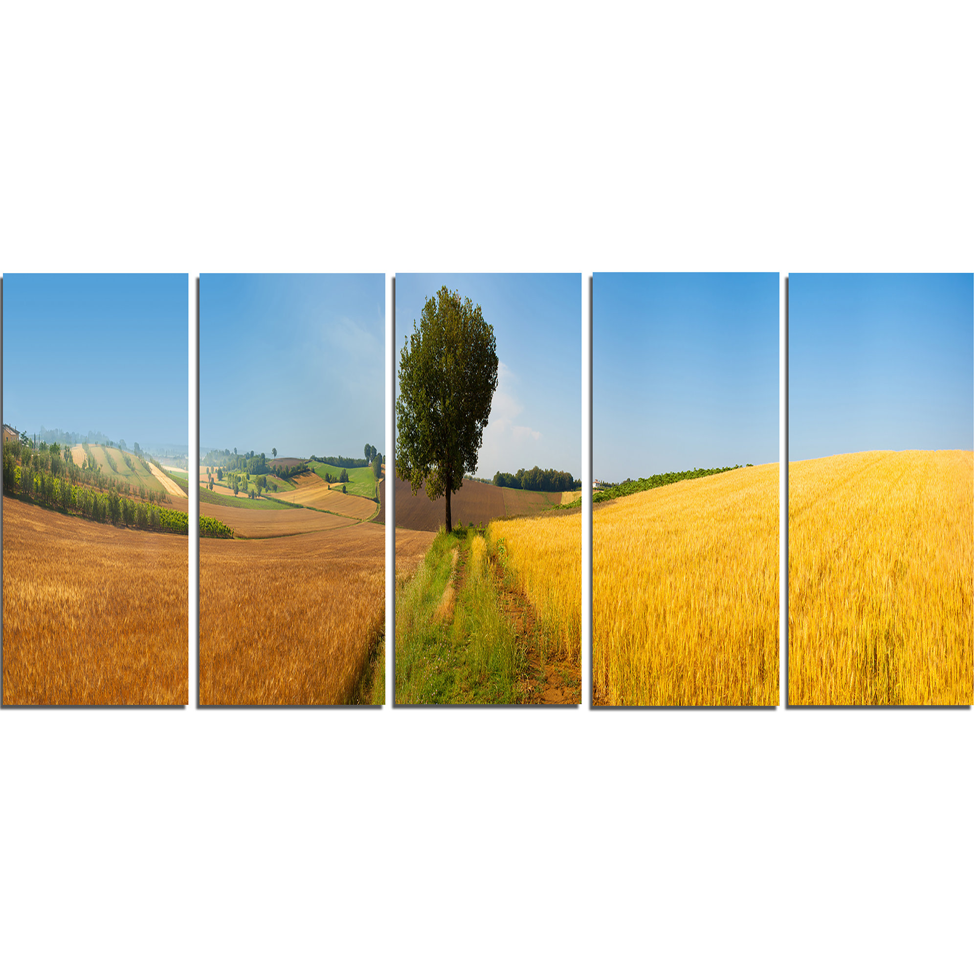 Designart Tuscany Wheat Field Hill Panorama 5 Piece Photographic Print On Wrapped Canvas Set Wayfair