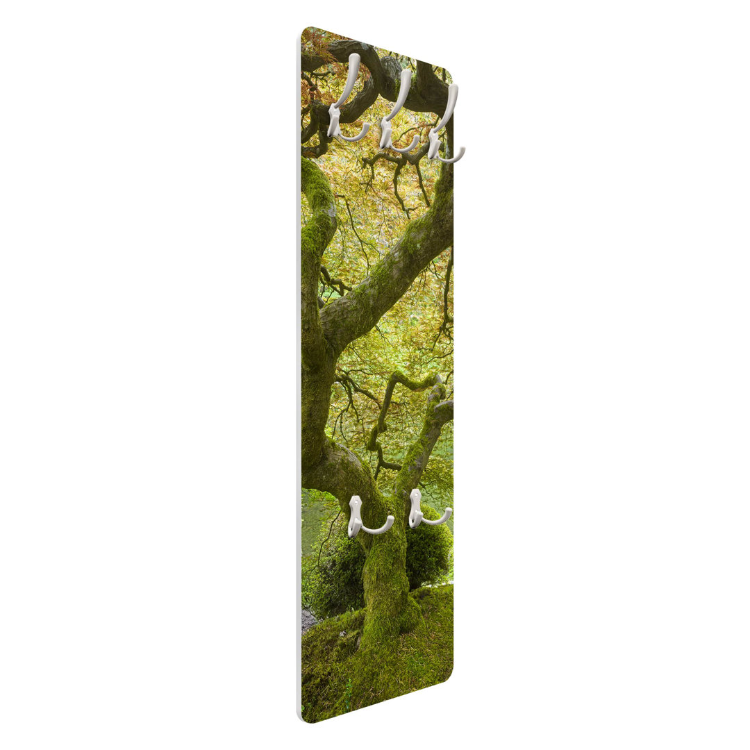 Green Japanese Garden Wall Mounted Coat Rack