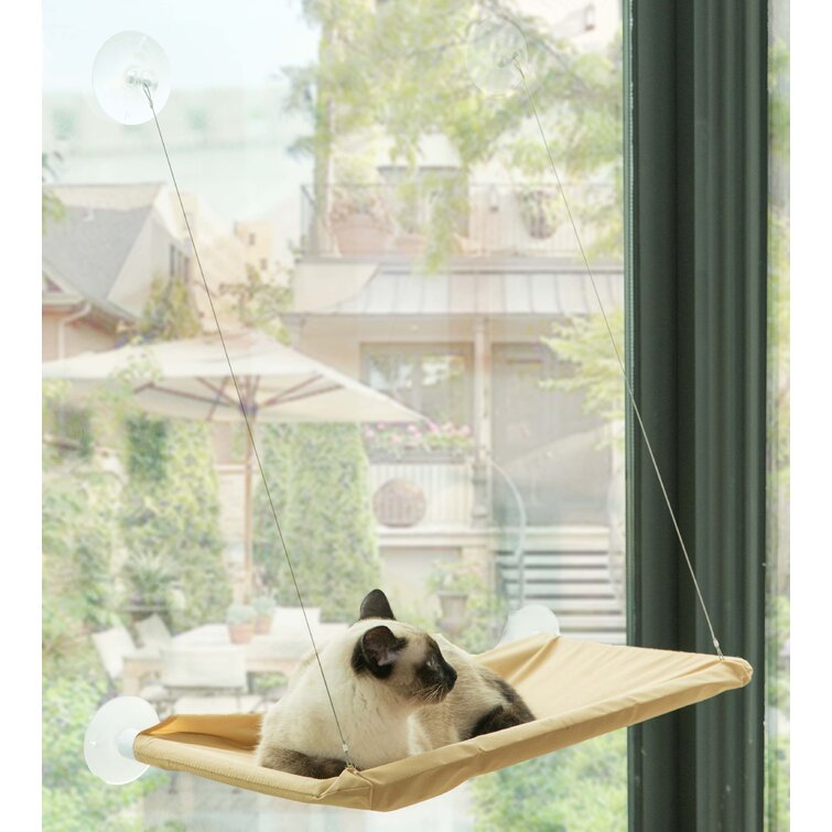 Tucker Murphy Pet™ Eliza Specialty Cat Bed & Reviews | Wayfair.ca