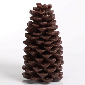 Pine Cone Novelty Candle (Set of 2)
