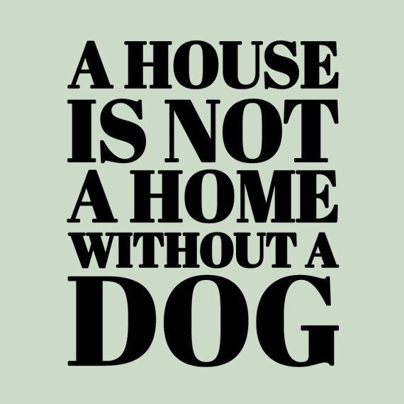 a house is not a home without a dog