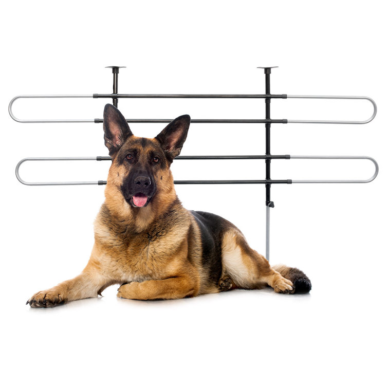 dog gate for car