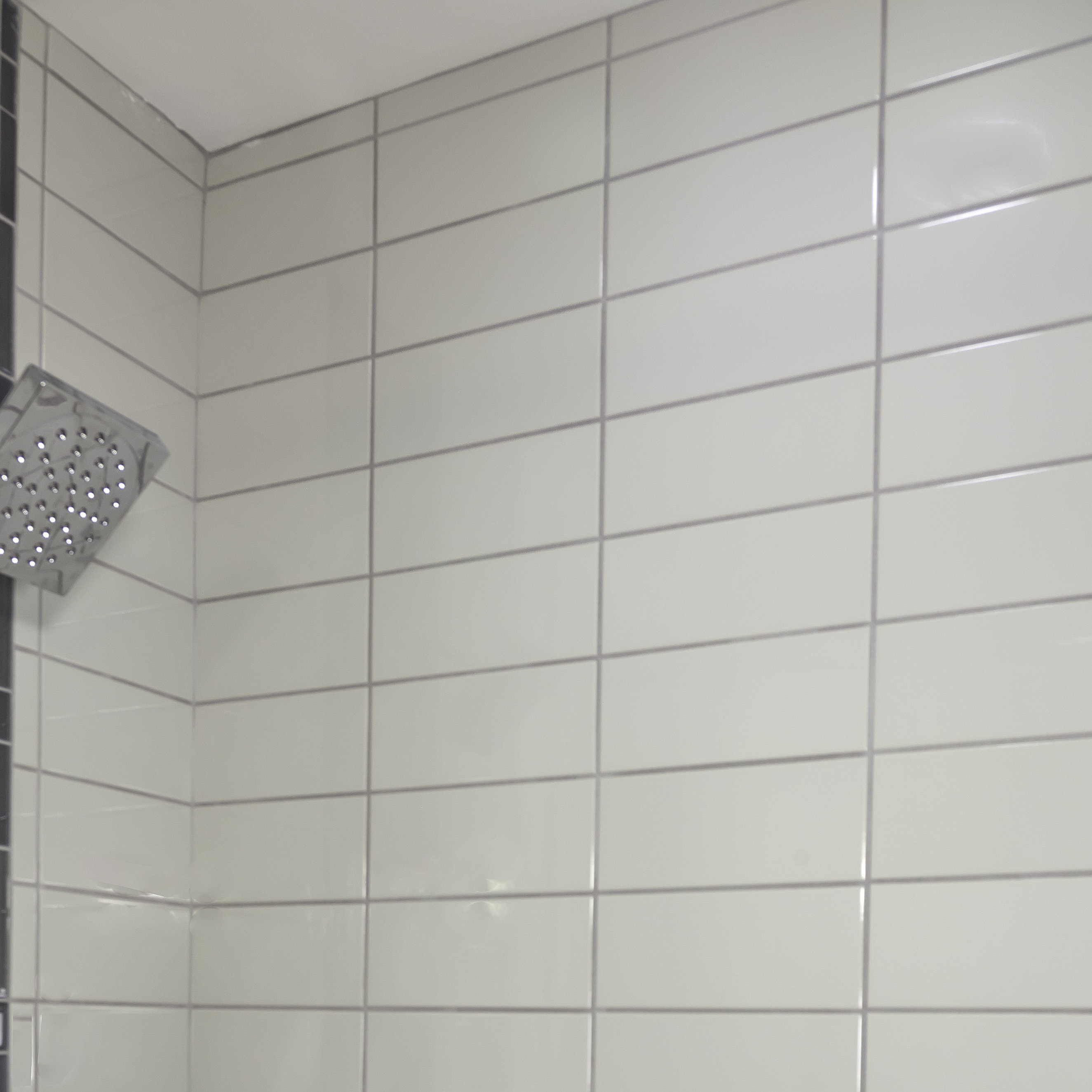 Emser Tile Semplice 6 X Ceramic Wayfair Emser Tile Semplice 6 X Ceramic