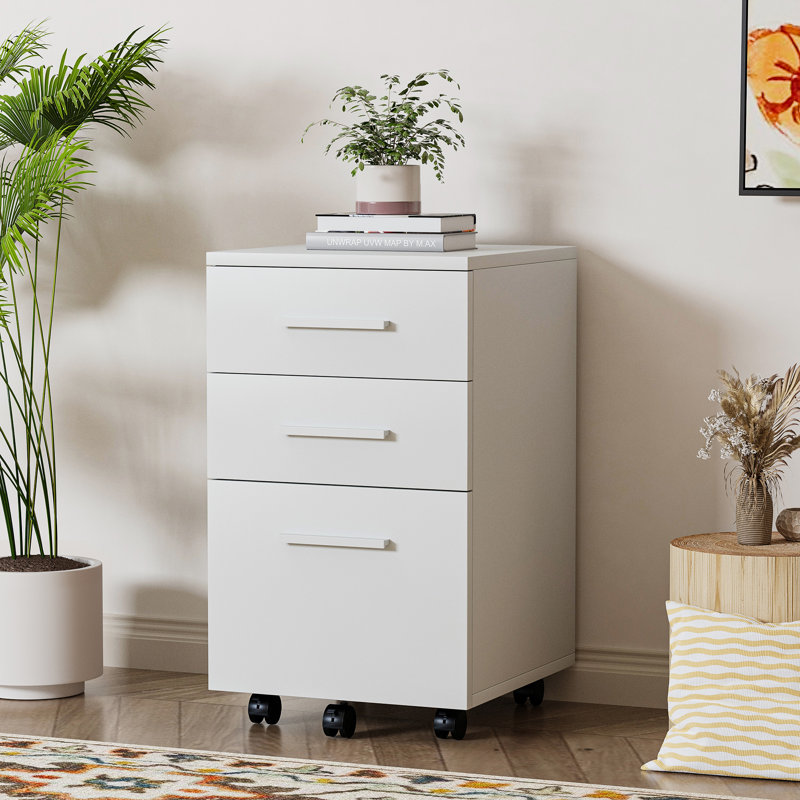 Aydian 3 -Drawer Mobile Vertical Filing Cabinet Color: Black