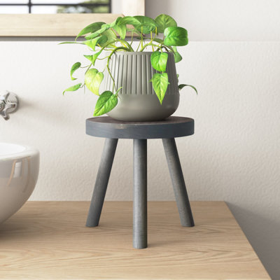 Abraam Round Corner Poplar Plant Stand