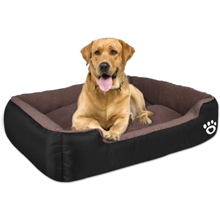 wayfair large dog beds