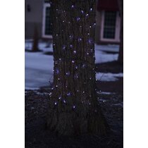 15+ Tree Trunk Net Lights 2021