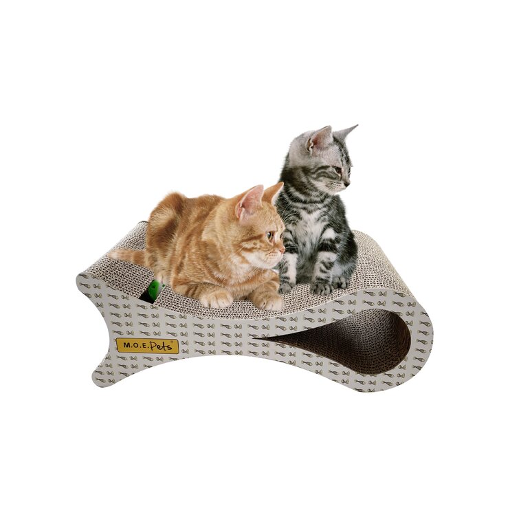 fish cat scratcher