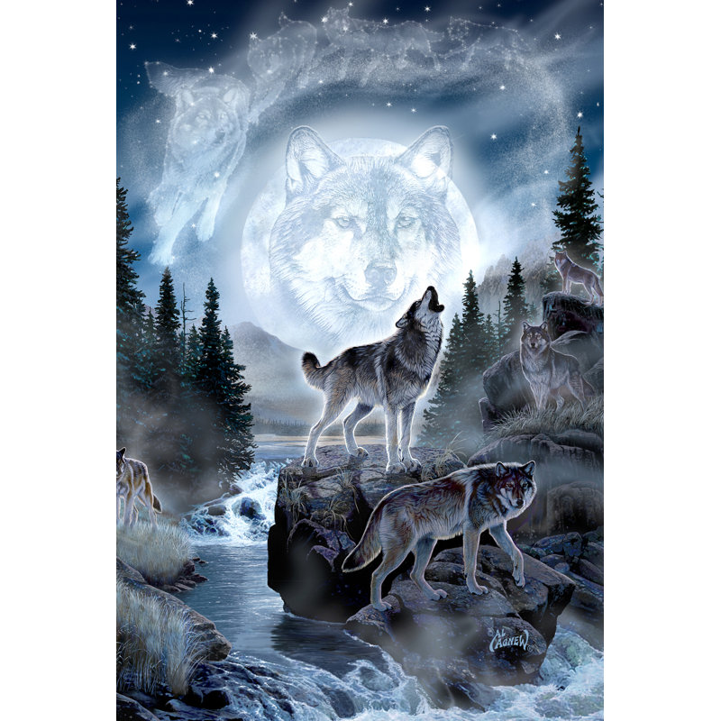 Toland Home Garden Spirit Wolves Polyester 28 X 40 Inch House Flag Wayfair