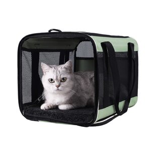 Pet Carrier Bag Airline Approved Suitable for kittens and puppies less than 20lb,5 Mesh Windows Morange Cat Carriers Dog Soft-Sided Carriers with 2 Curtains 1 Large Pocket for Comfortable Travelling