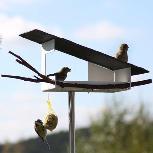 Contemporary Bird Feeders Home Decorating Ideas Interior Design