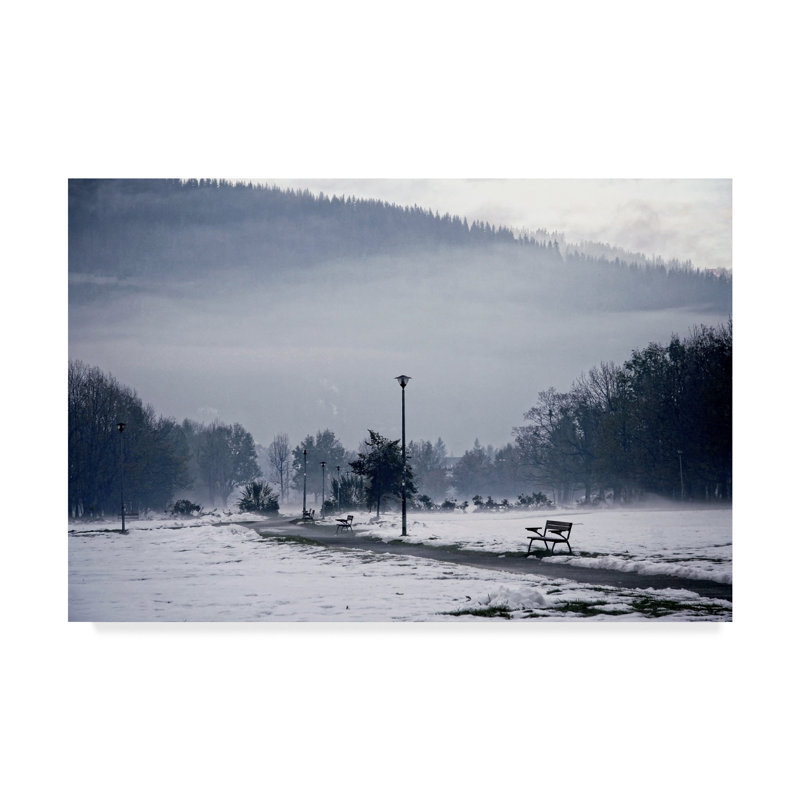 Trademark Art Dark Winter Landscape Photographic Print On
