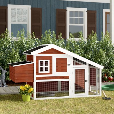 Chicken Coops You'll Love | Wayfair