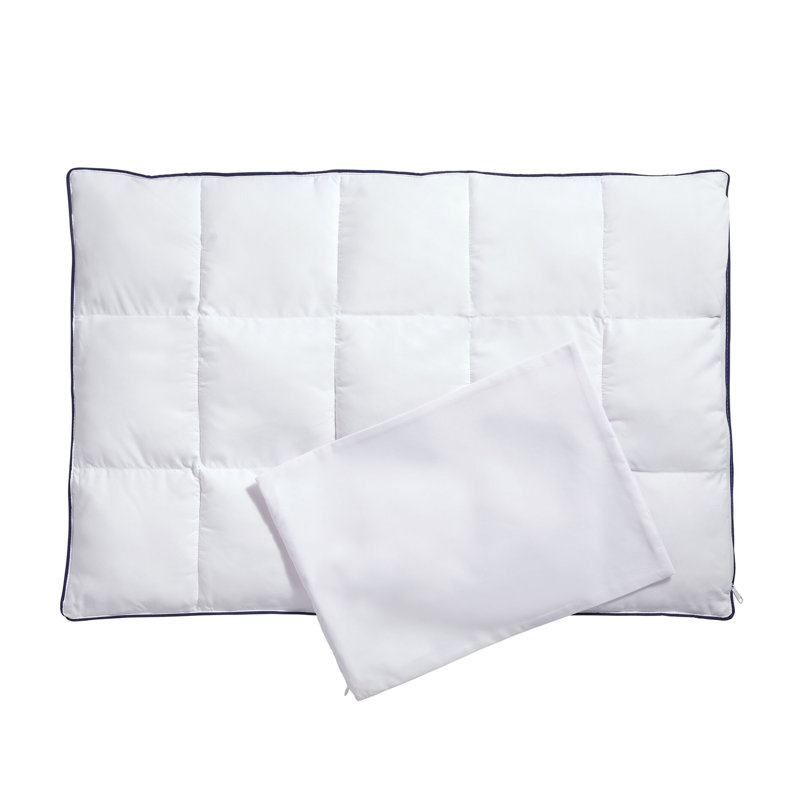 Alwyn Home Preston Micronone Allergy Free 2 In 1 Pillow Enhancer