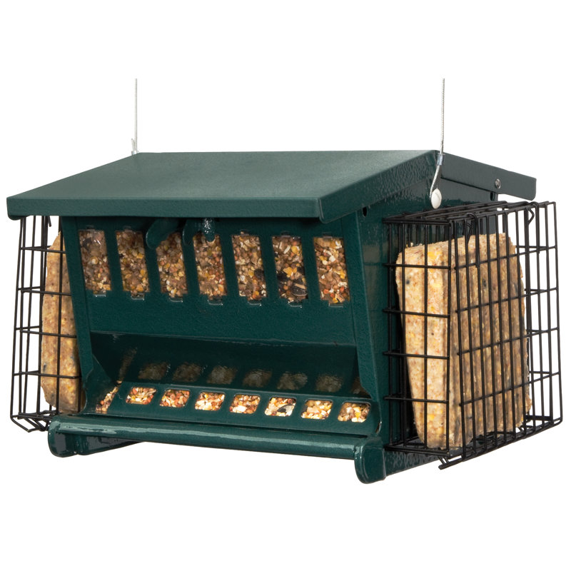 Seed N More Suet Bird Feeder