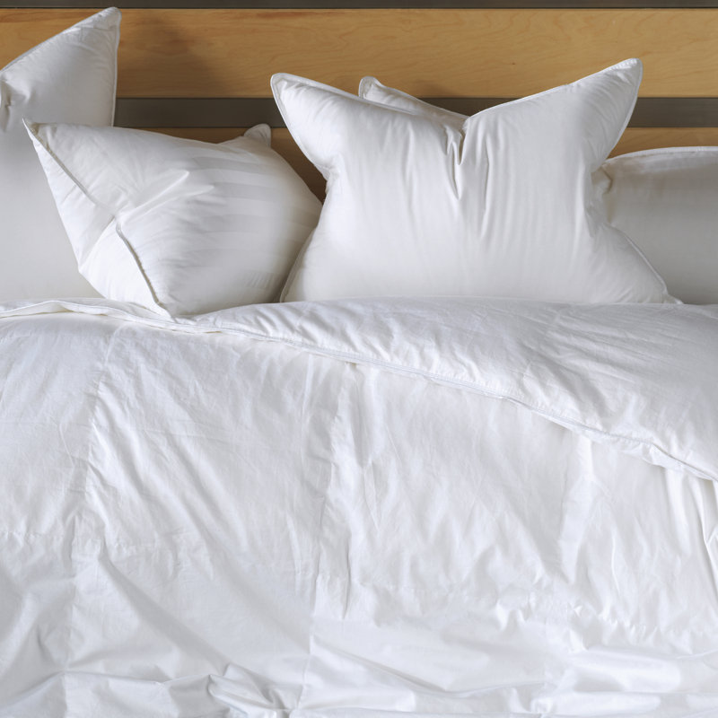 Plankroad Home Decor Hypoallergenic Luxury Light Weight Summer Down Comforter Wayfair