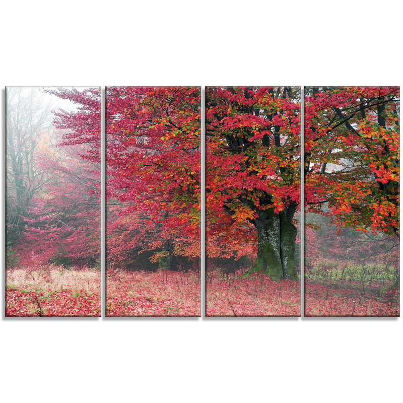 Designart Calm Autumn Forest After Storm 4 Piece Wall Art On