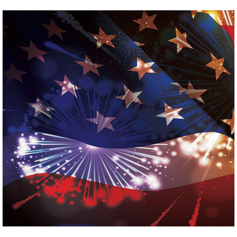 The Holiday Aisle Usa Flag With Fireworks 2 Piece Garage Door Mural Wayfair