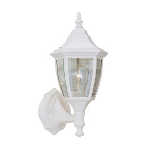 Slusser 1-Light Glass Shaded Outdoor Wall lantern