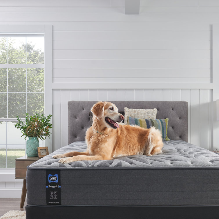 Sealy Posturepedic Plus 13" Plush Tight Top Mattress and Box Spring Set