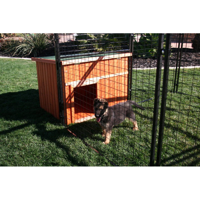 dog house pen
