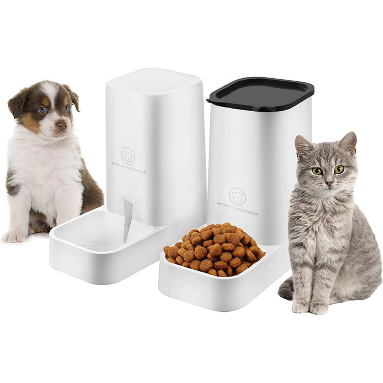 border terrier accessories