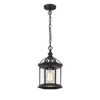 Darby Home Co Ernestine 1 Bulb 14 H Outdoor Hanging Lantern Reviews Wayfair