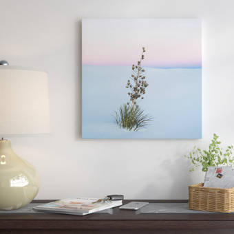 East Urban Home Sands National Monument New Mexico Photographic Print On Canvas Wayfair