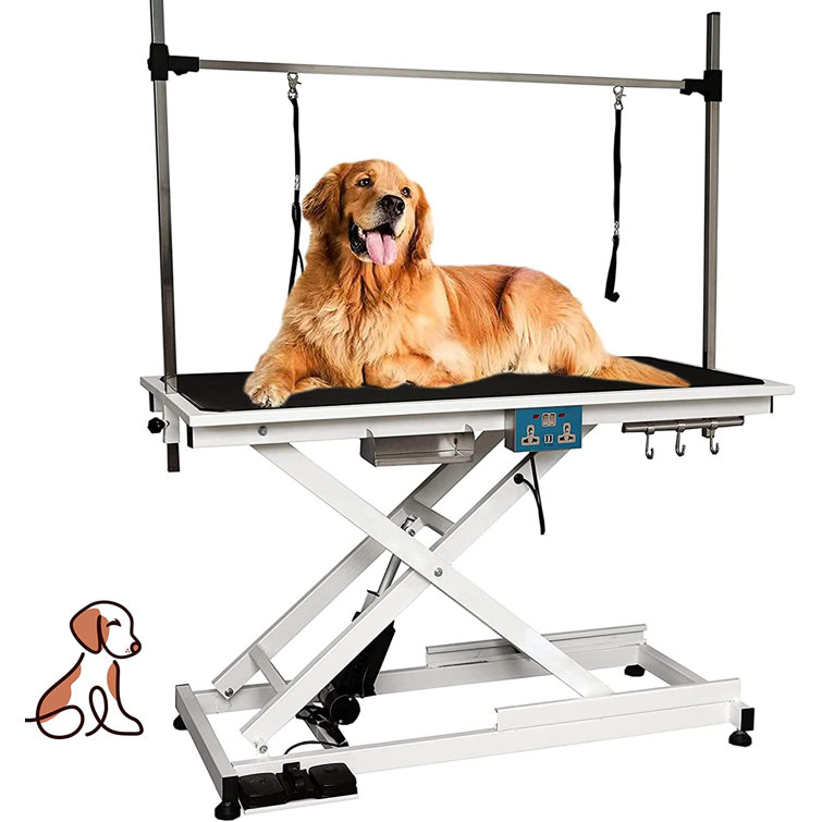 dog clipping table