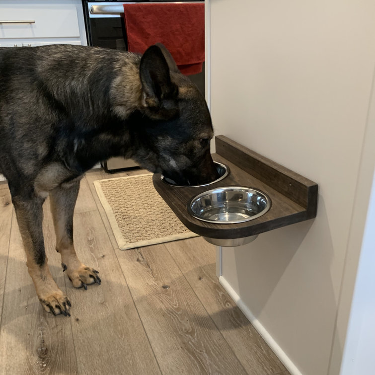 floating dog bowl