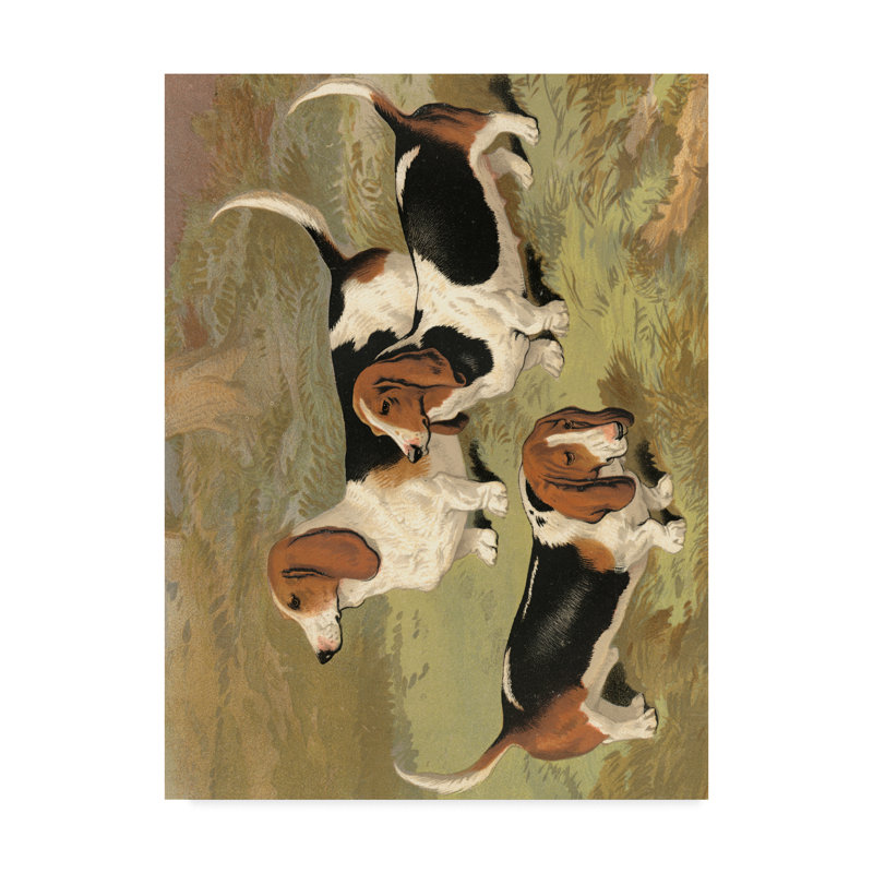 Winston Porter Basset Hounds Acrylic Painting Print On Wrapped