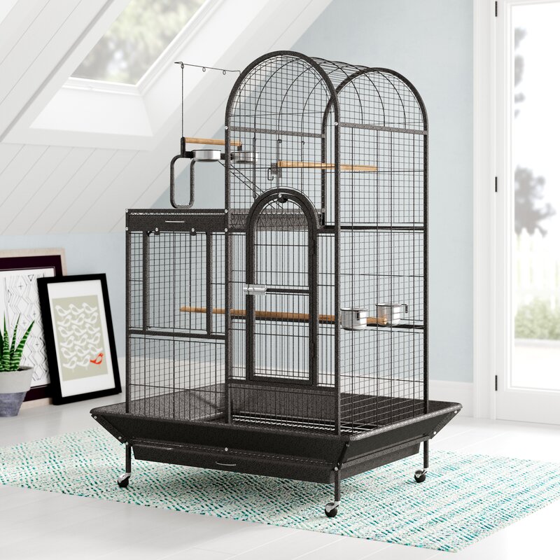 Archie Oscar Eli Deluxe Parrot Bird Cage With Play Top Reviews Wayfair