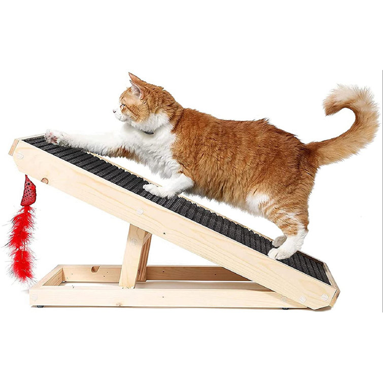 how to train cats not to scratch carpet