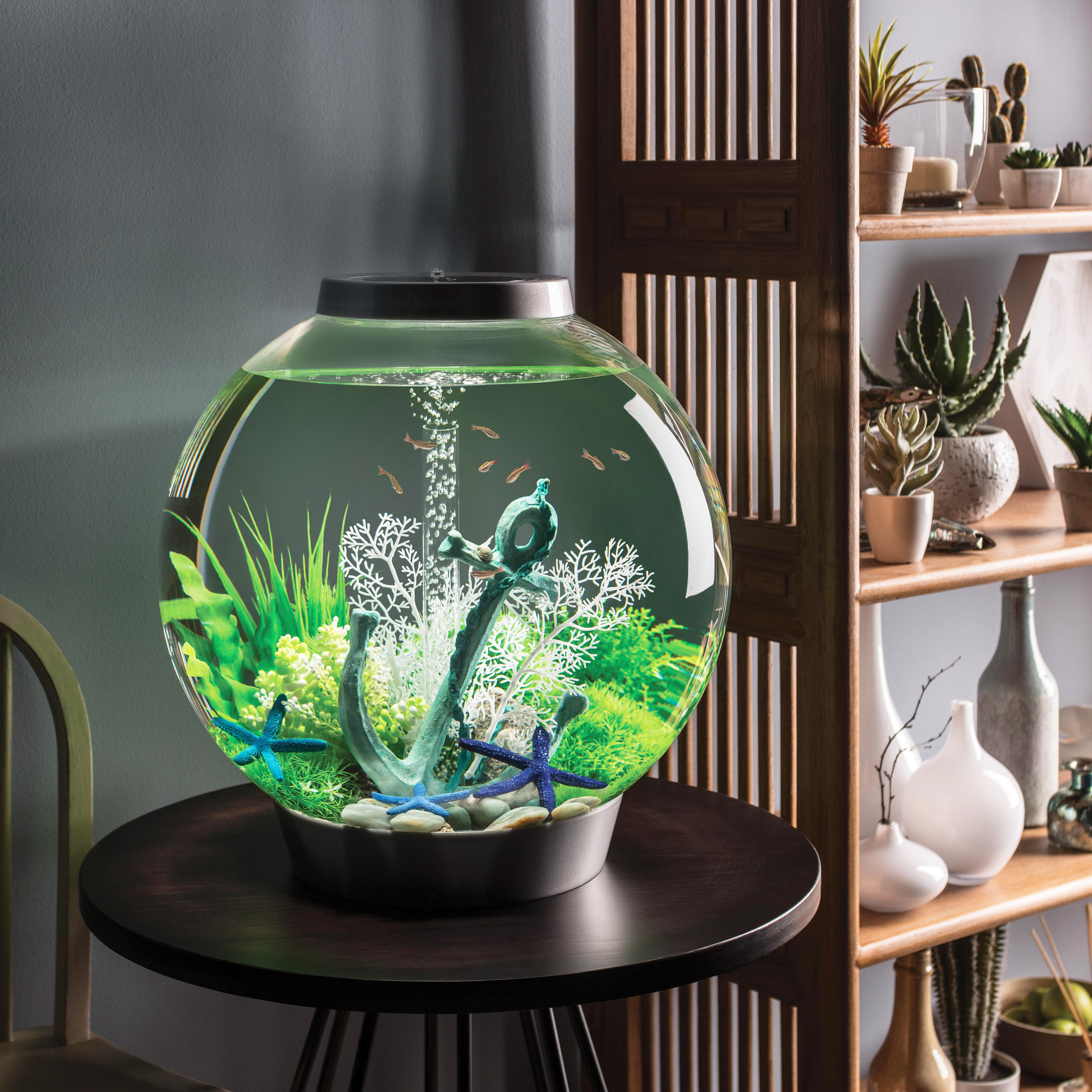 [BIG SALE] TopRated Freshwater Aquariums You’ll Love In 2022 Wayfair