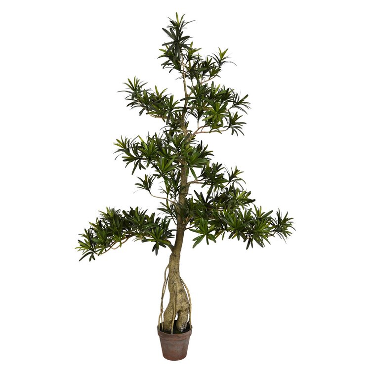 Gracie Oaks Artificial Bonsai Tree In Pot Reviews Wayfair
