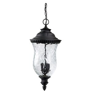 Ashford 3-Light Outdoor Hanging Lantern