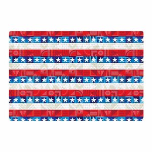 Fimbis USA Vector Blue/Red Area Rug