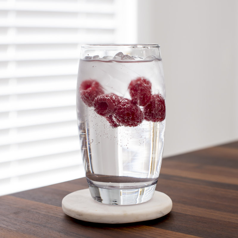 Anchor Hocking Reality 16 Oz Drinking Glass Reviews Wayfair