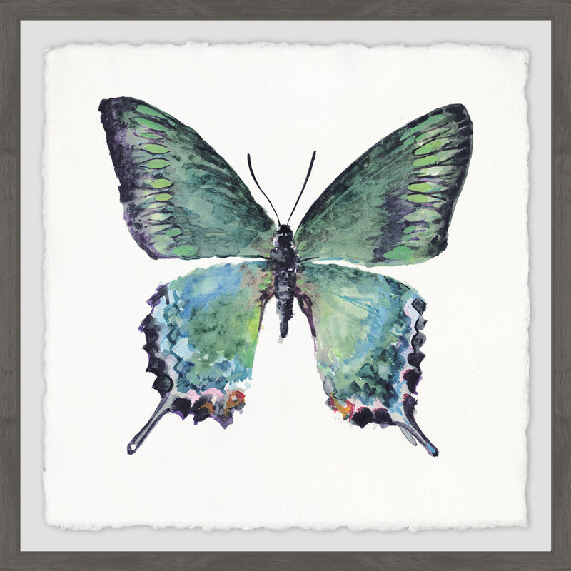 Bungalow Rose Watercolor Butterfly Framed Watercolor Painting