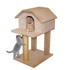 scratching post canada