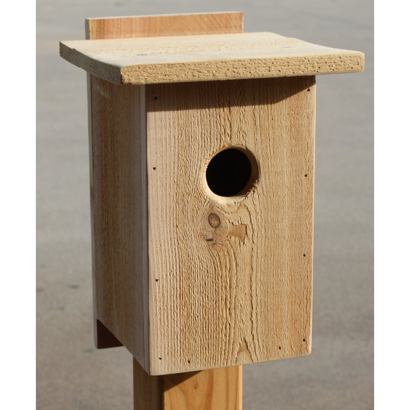 Cedarcreekwoodshop 14 In X 8 In X 6 In Birdhouse Wayfair