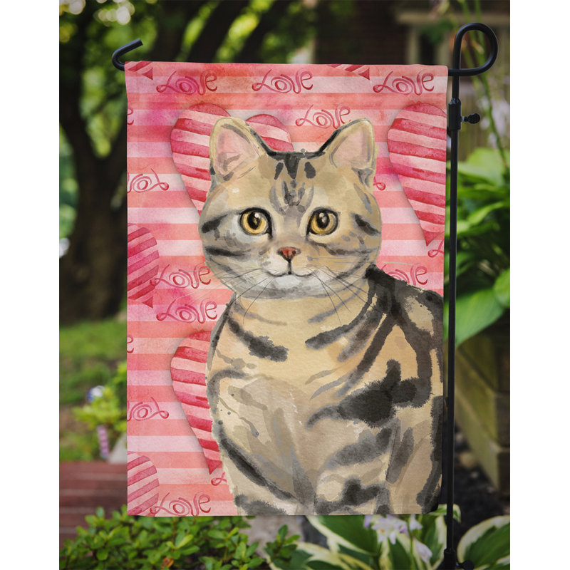 Caroline S Treasures American Shorthair Brown Tabby Cat Love Flag