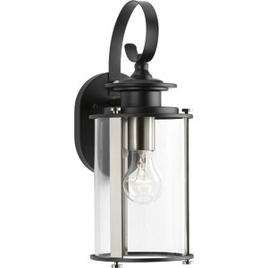 Evgenia 1-Light Outdoor Wall Lantern