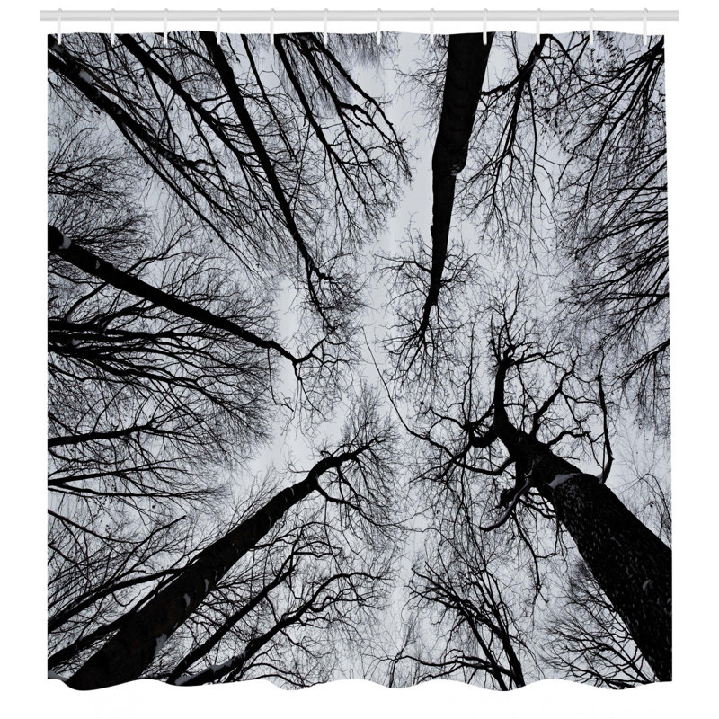 Ambesonne Forest Home Scary Winter Tops Of The Trees Dark Dramatic