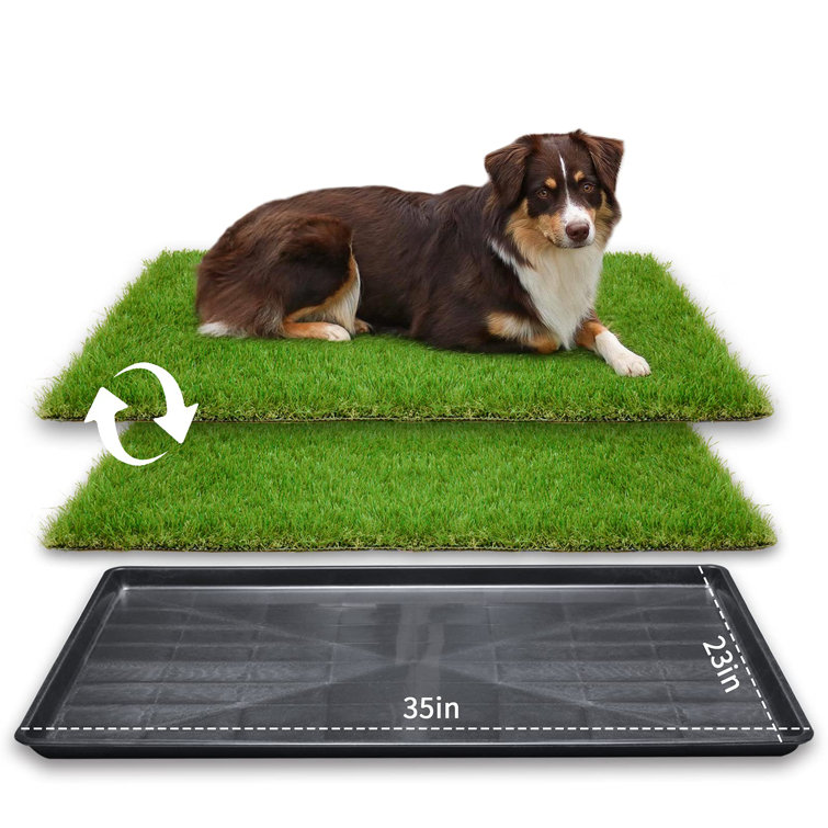 grass puppy mat