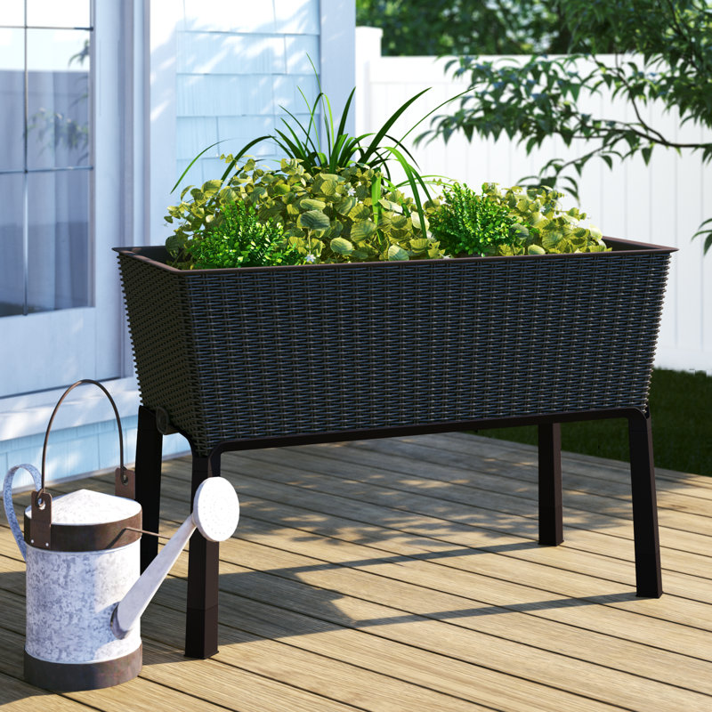 Sol 72 Outdoor Madge Easy Grow 3 5 Ft X 1 5 Ft Resin Raised Garden