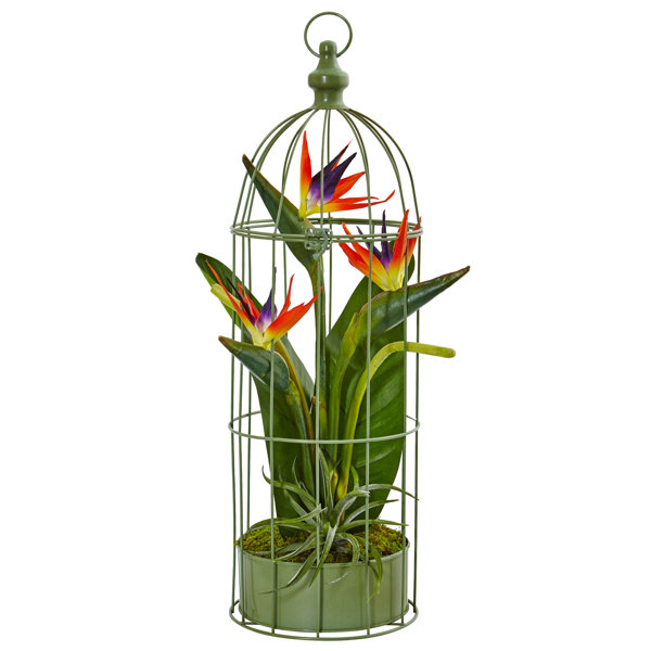 Bird Of Paradise Arrangement Wayfair