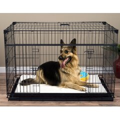 Large Dog Crate XL Kennel Extra Big Folding Pet Wire Cage Huge Breed Size 