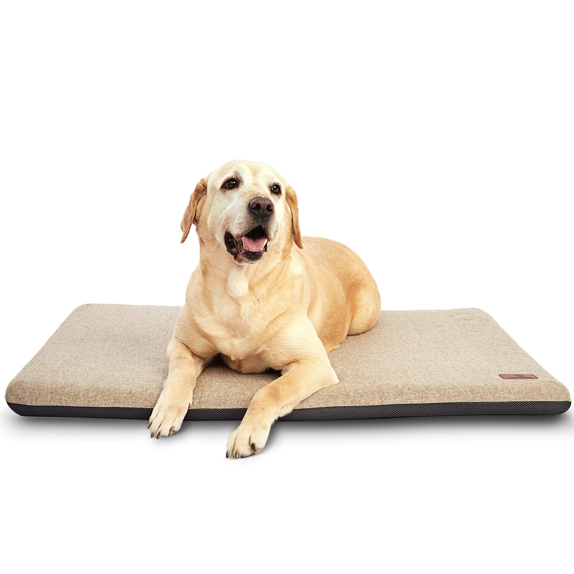 non slip dog bed