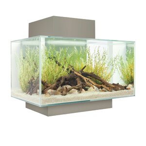 6 Gallon Fluval Edge Aquarium Kit